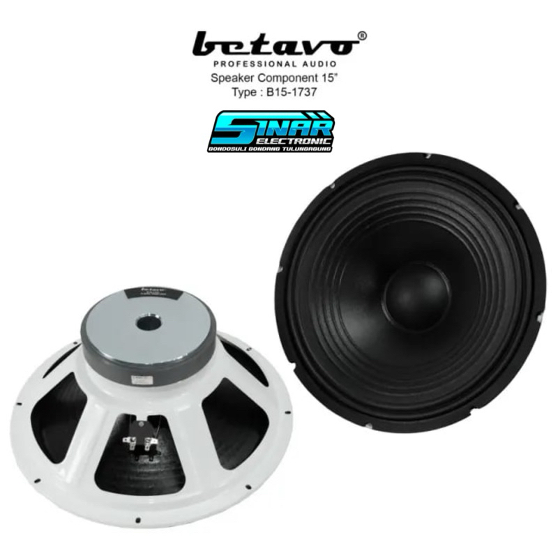 Speaker BETAVO 15in B15-1737 Spiker Original