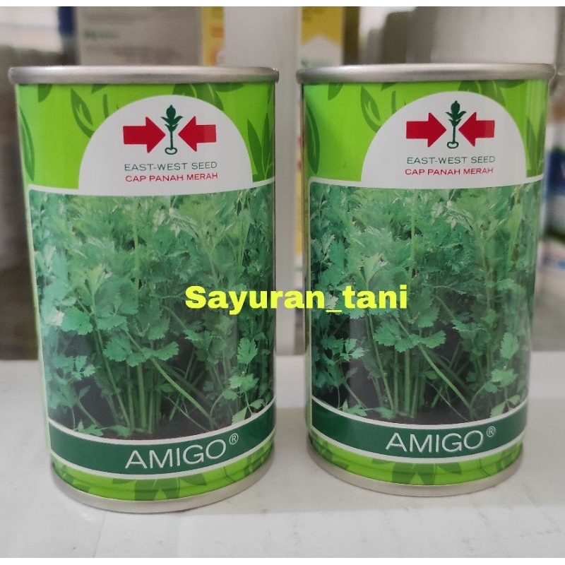 Benih seledri AMIGO 50 gram