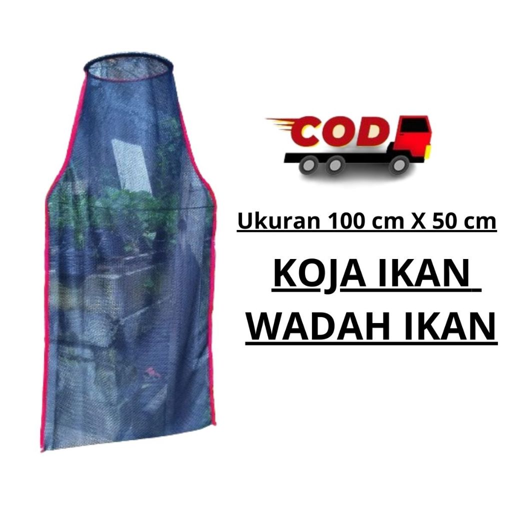 Korang koja ikan mas / KORANG KOJA UKURAN 100 X 50 CM