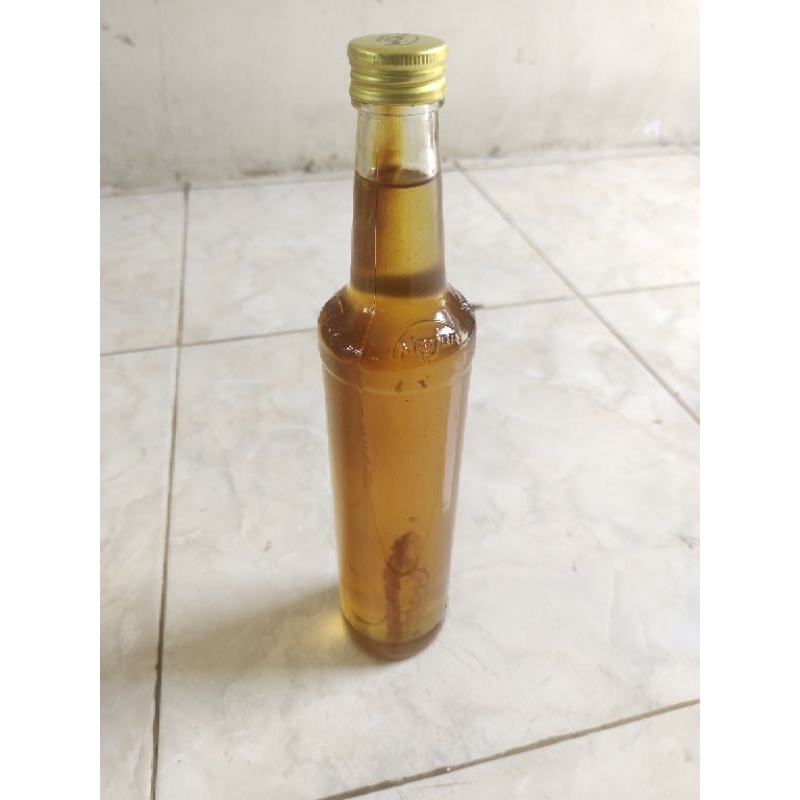 

Madu Hutan Tawon Lanceng
