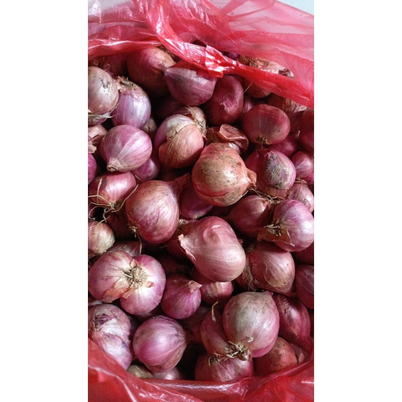 

BAWANG MERAH BREBES JAWA