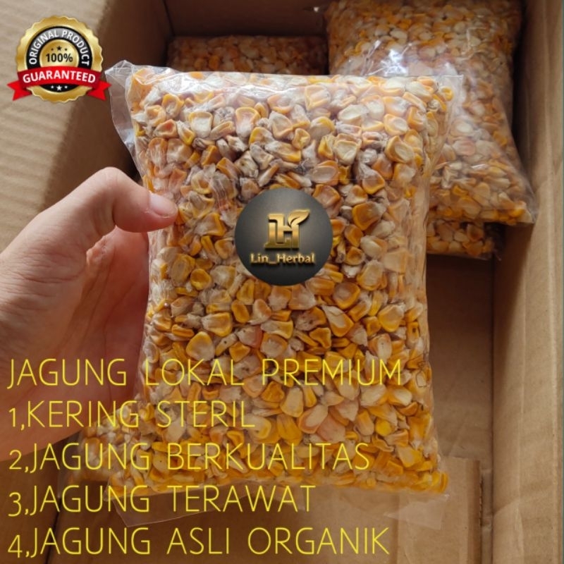 Jagung lokal kering benih jagung lokal kering 1 kg