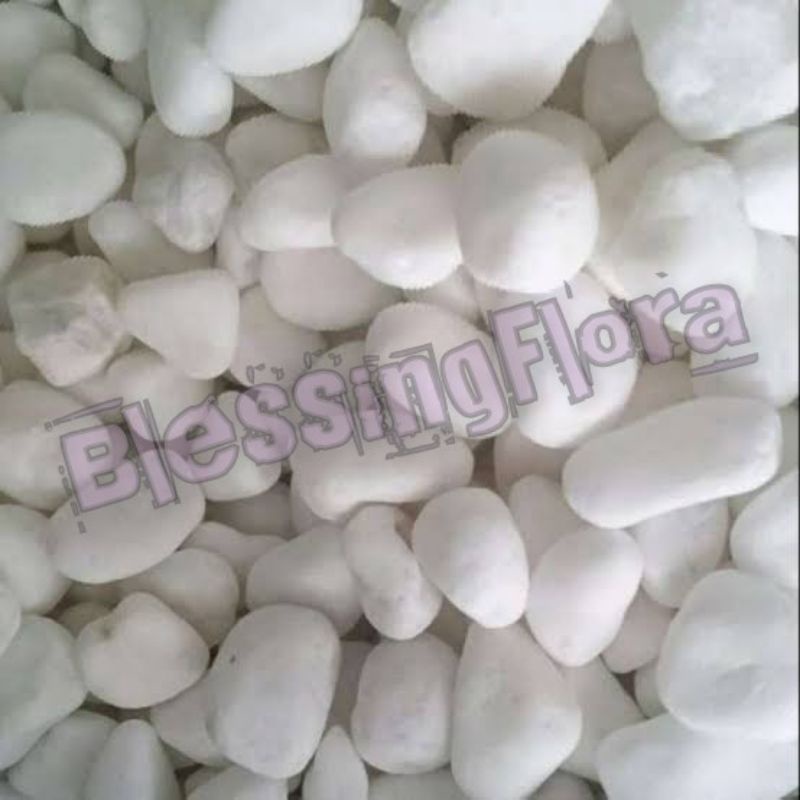 RB Batu Koral Putih Karung