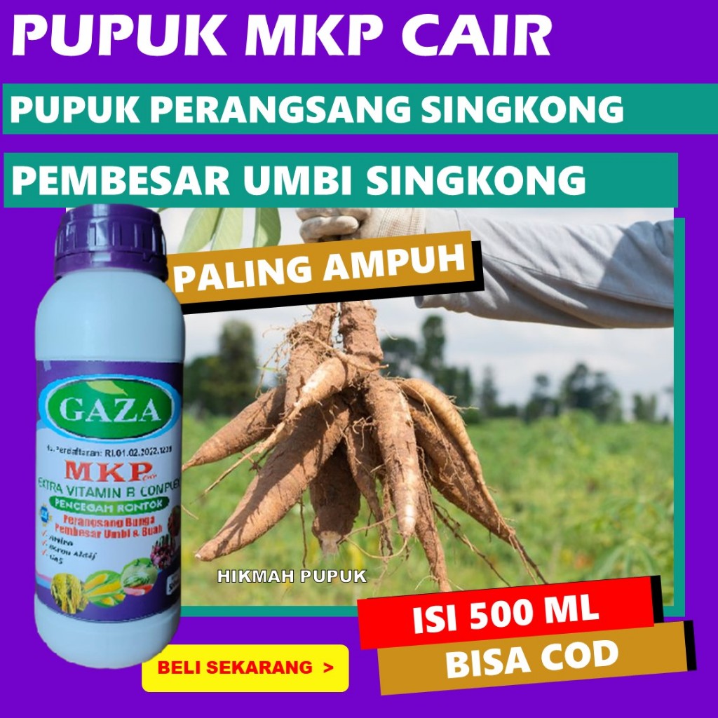 PUPUK AJAIB UNTUK BUAH SINGKONG MKP CAIR NEW Obat Cair Tanaman Umbi Singkong Pupuk Pelebat Buah Sing