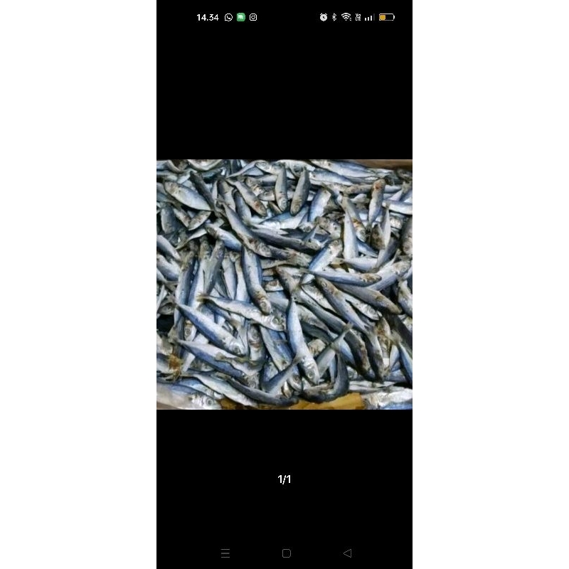 

ikan asin rencek/ ikan asin layang/ ikan asin pedo