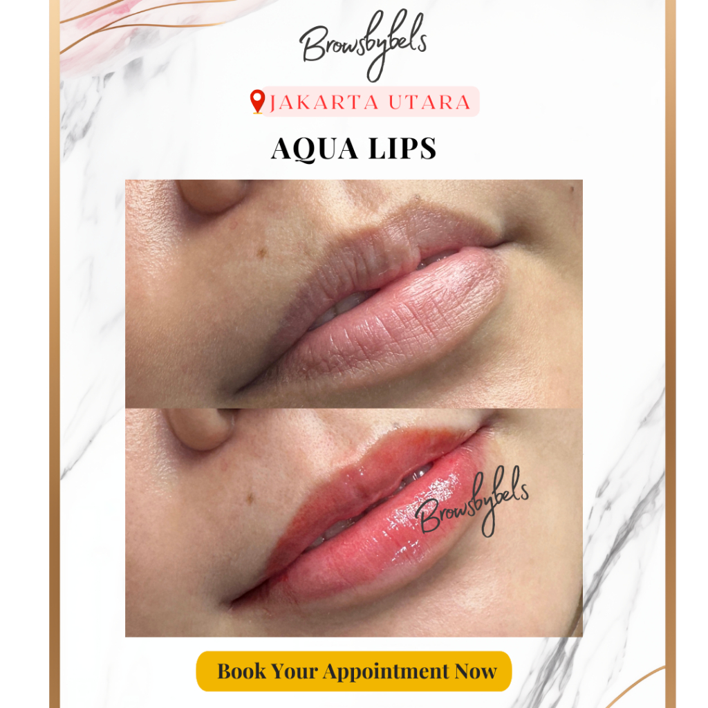 SULAM BIBIR NATURAL AQUA LIPS by Browsbybels