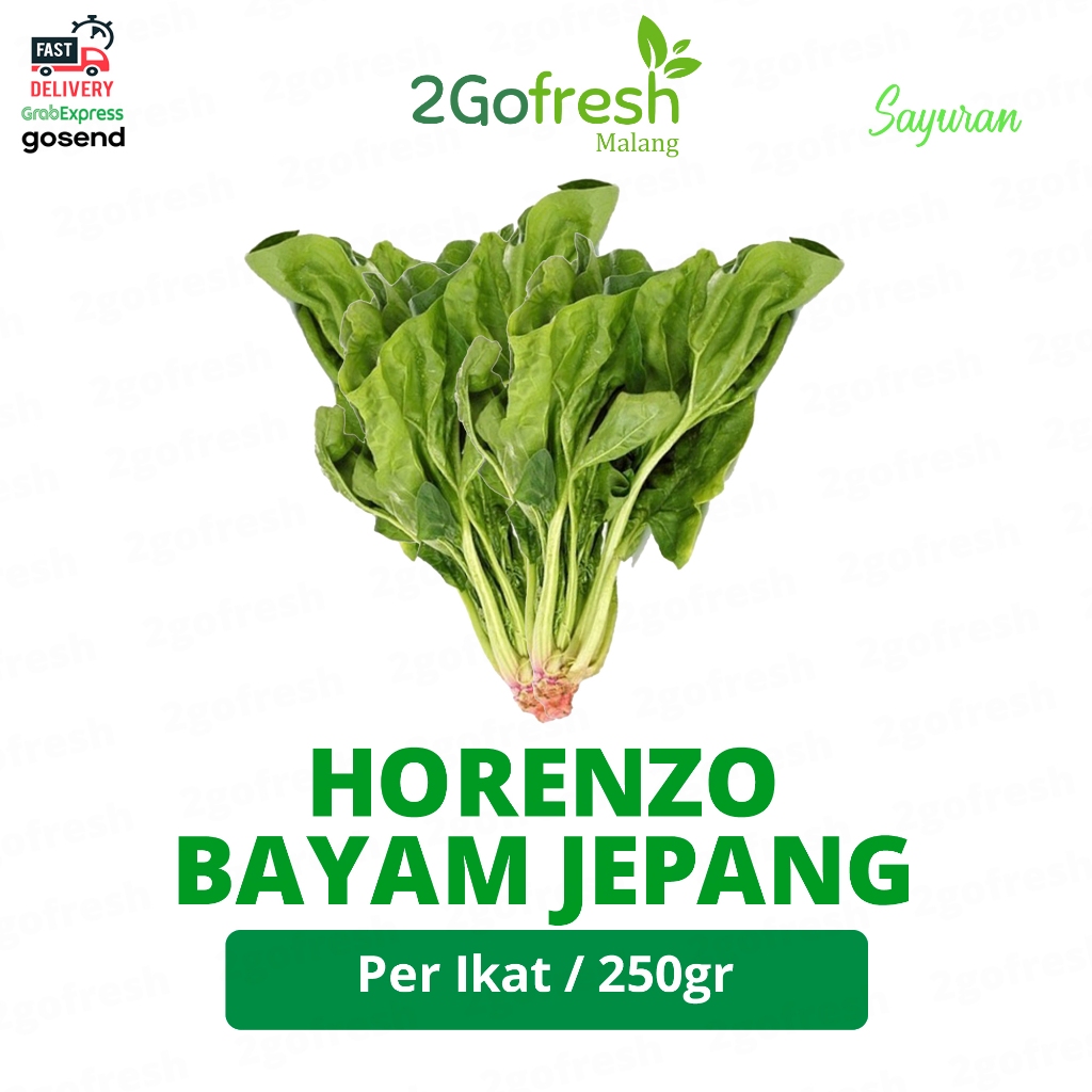 

Sayuran Bayam Jepang / Horenzo Fresh - Sayur Sayuran