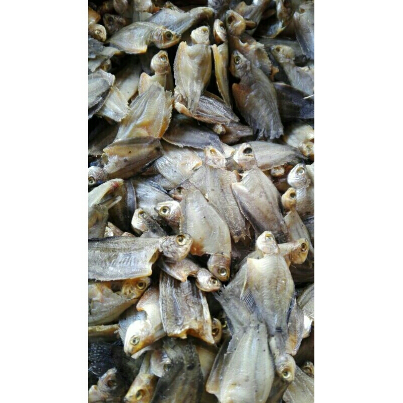 

IKAN SEPAT RAWA OLAHAN BARU KEMASAN 500 GRAM