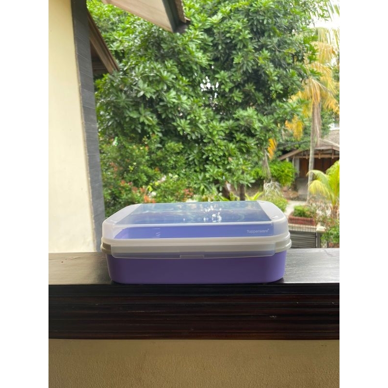 Tupperware Ezy Rectangular Keeper 2L