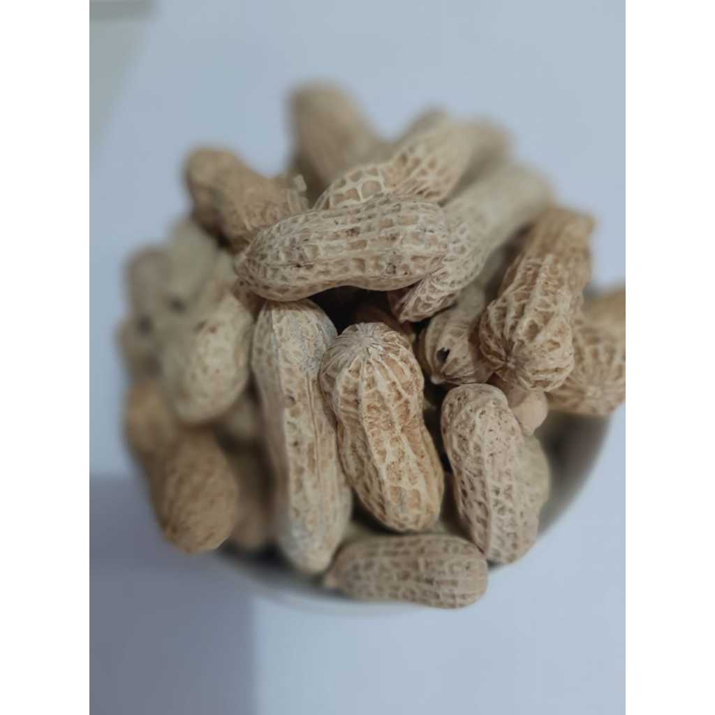 

KACANG ASIN KULIT CAP MJ ISI 1 KG