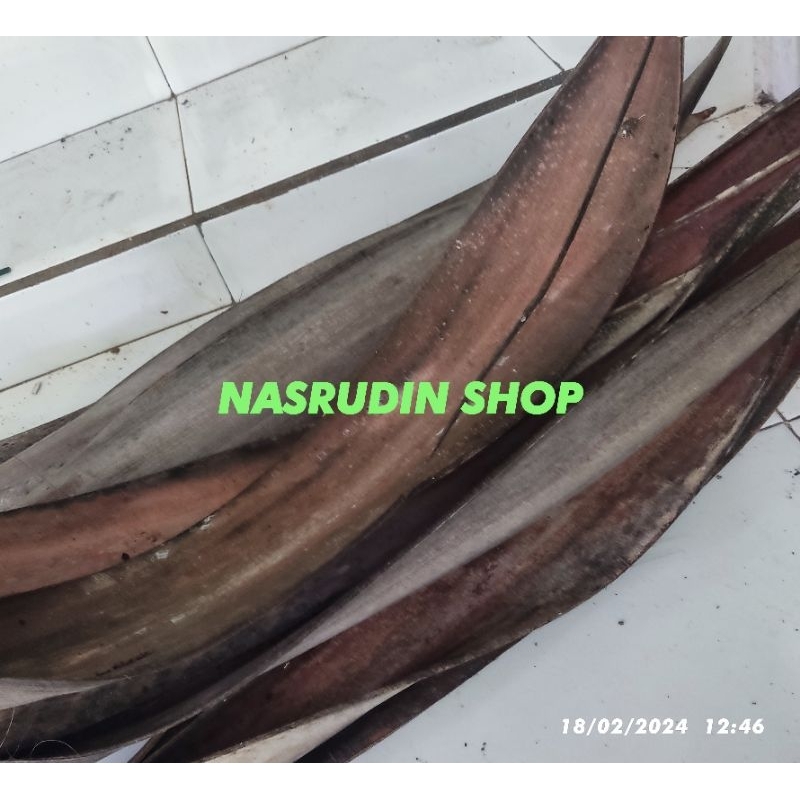 

[Fresh] MANCUNG KELAPA KERING SATUAN UNTUK KERAJINAN