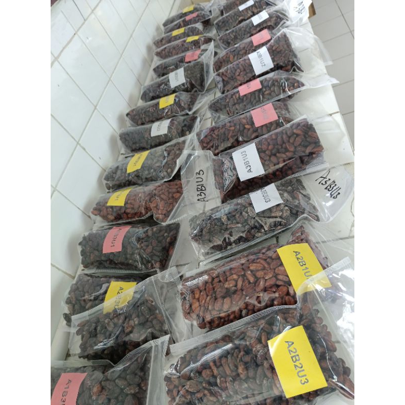 

cocoa beans