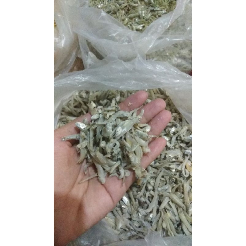 

ikan asin teri bontio sedang