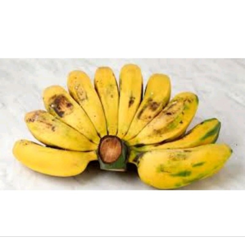 

PISANG KEPOK KUNING 1 SISIR / DIJAMIN SEGAR