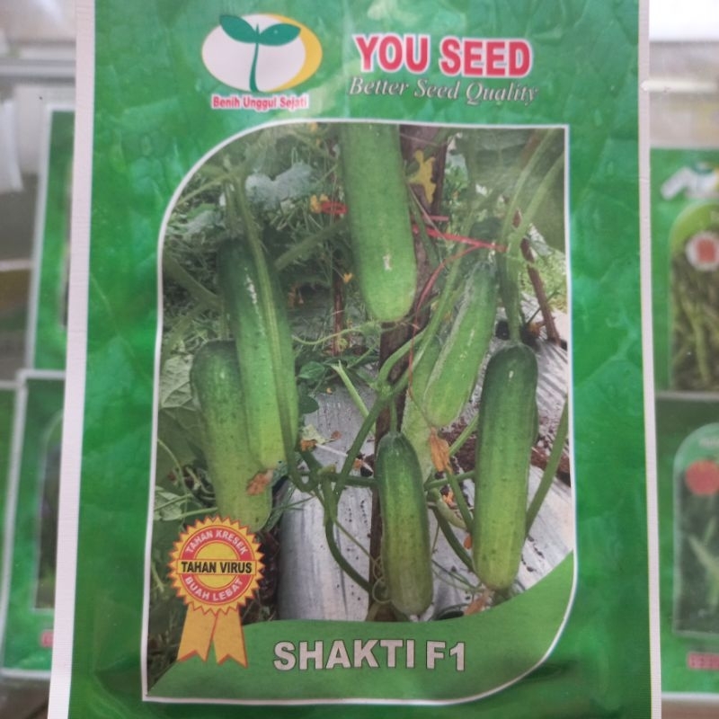 YOU SEED - MENTIMUN HIBRIDA SHAKTI 20 G
