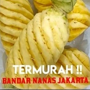 

BUAH NANAS PALEMBANG GROSIR SUDAH PARUT PER BUAH