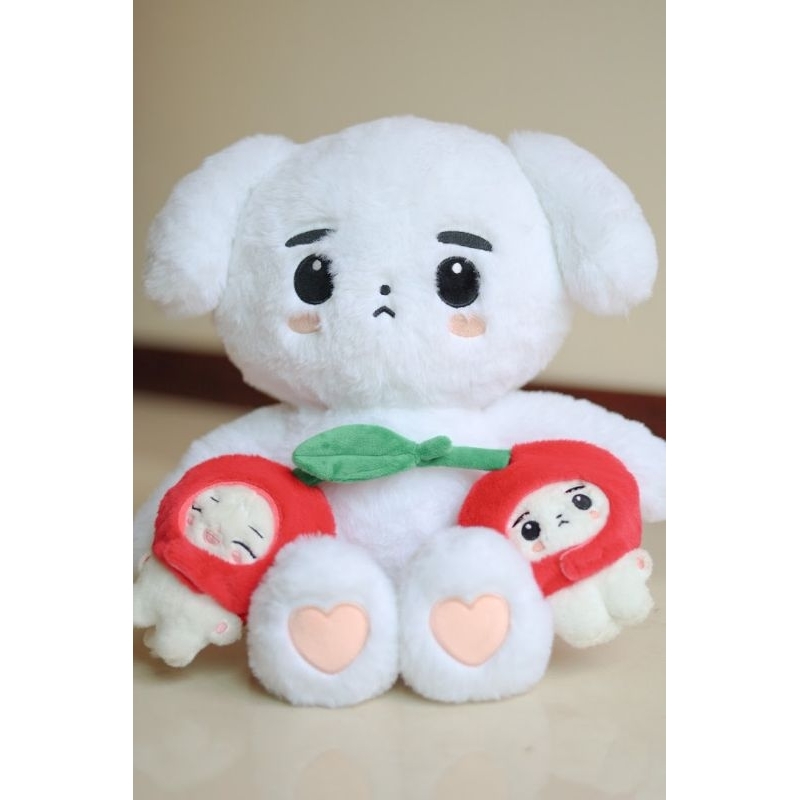 [DP] OPEN PO ENHYPEN SUNGHOON & SUNOO 10CM & 30CM DOLL [BACA DESKRIPSI]