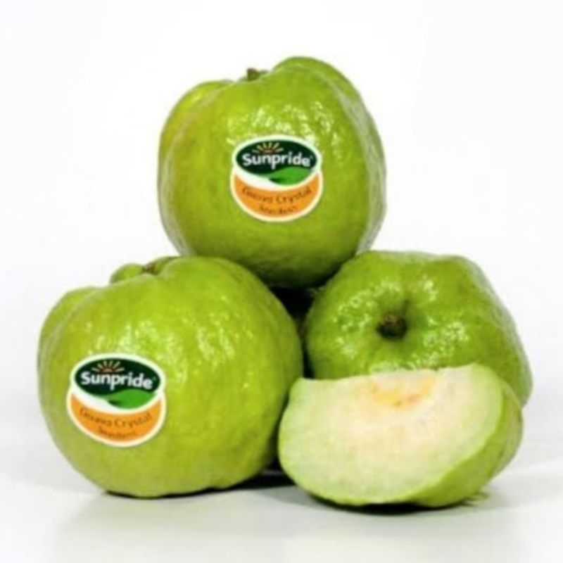 

Jambu Kristal Sunpride