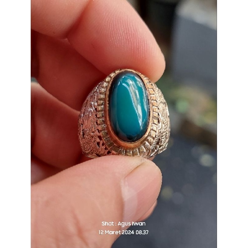 NATURAL_BACAN_DOKO_COKLAT_CACING