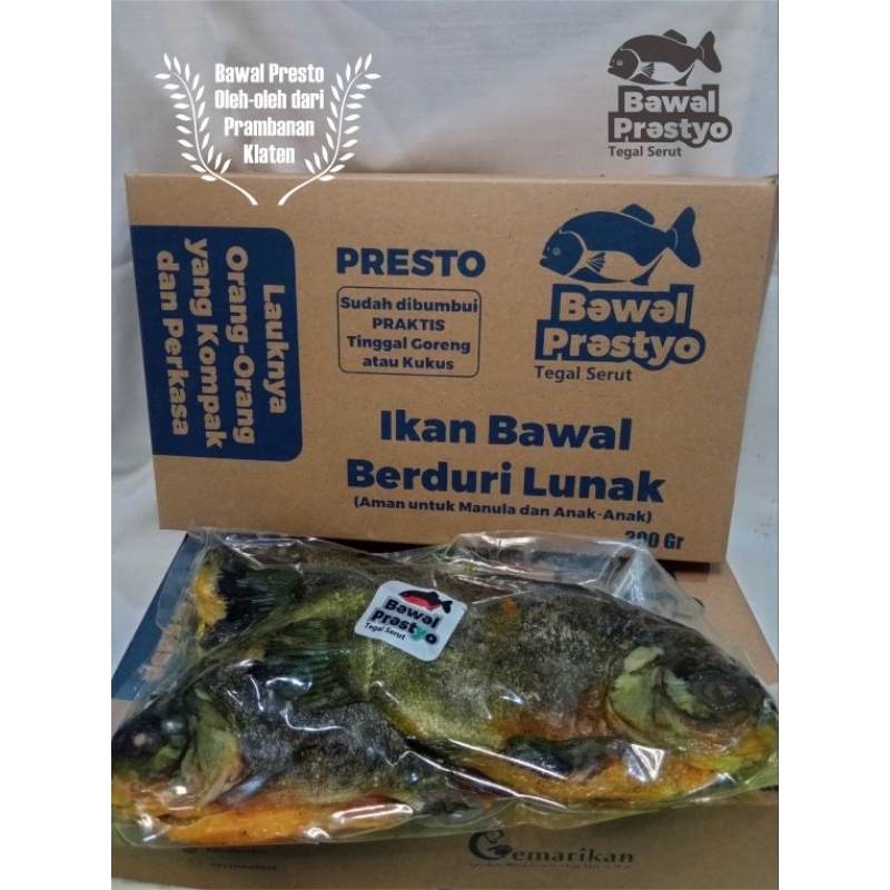 

ikan bawal presto duri lunak