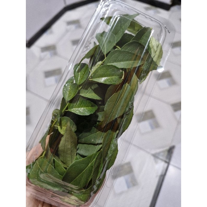 

Daun Kari / Salam Koja