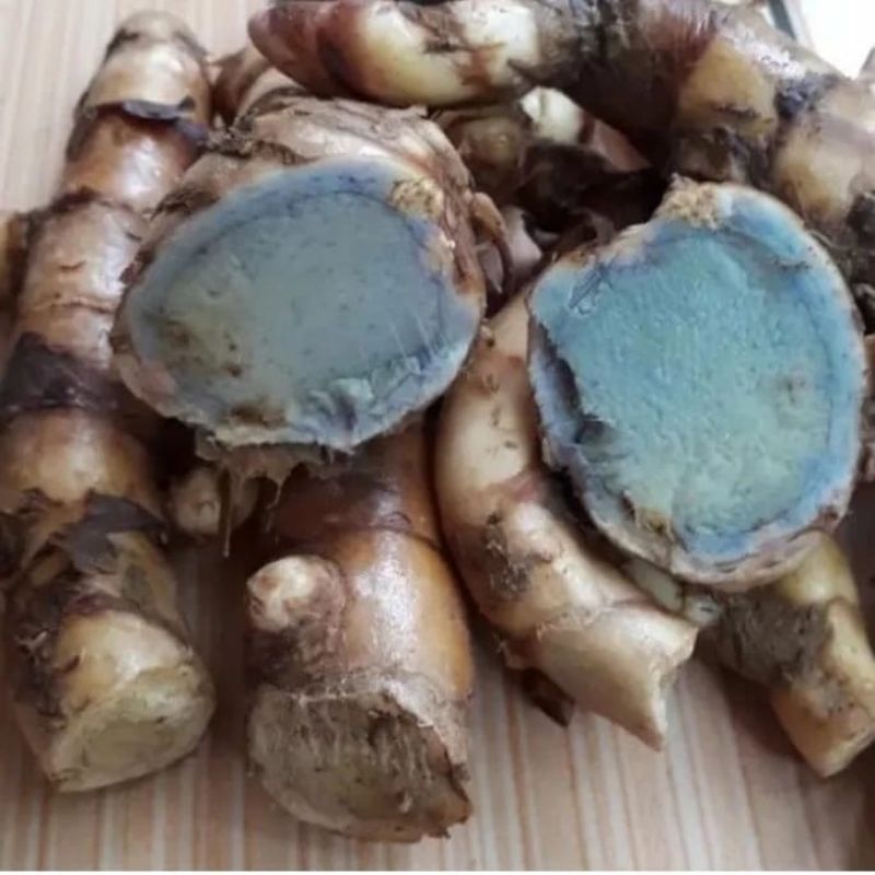 

Temu Hitam, ireng segar basah fresh kunyit/Curcuma Aeruginosa 500gr