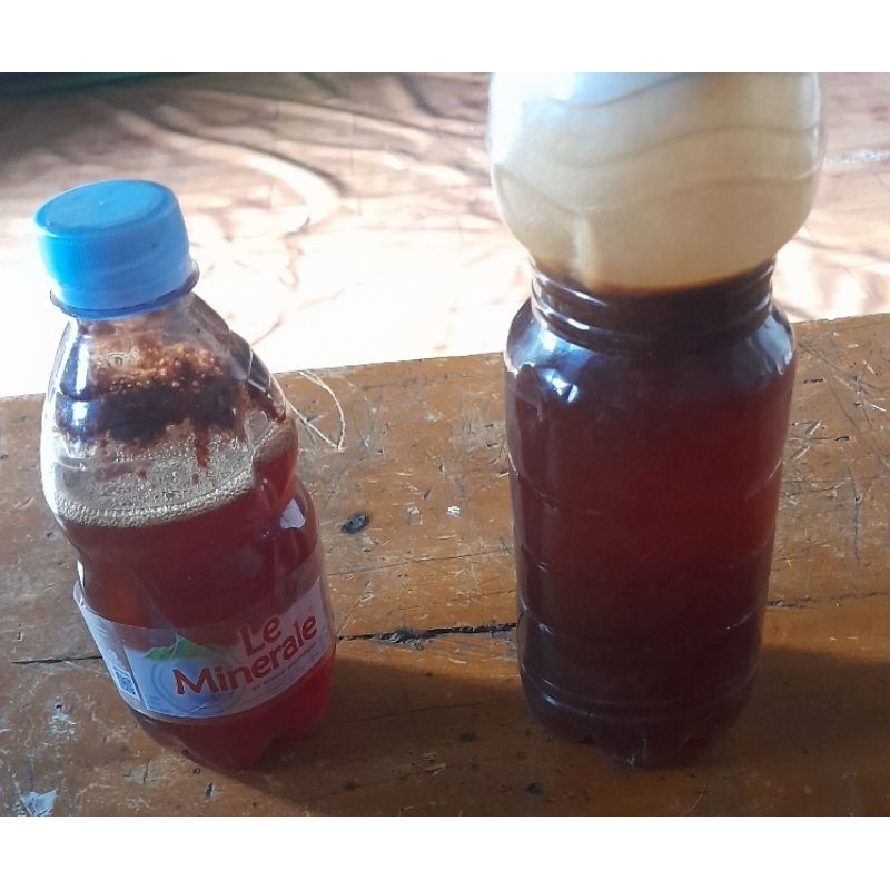 

madu Klulut