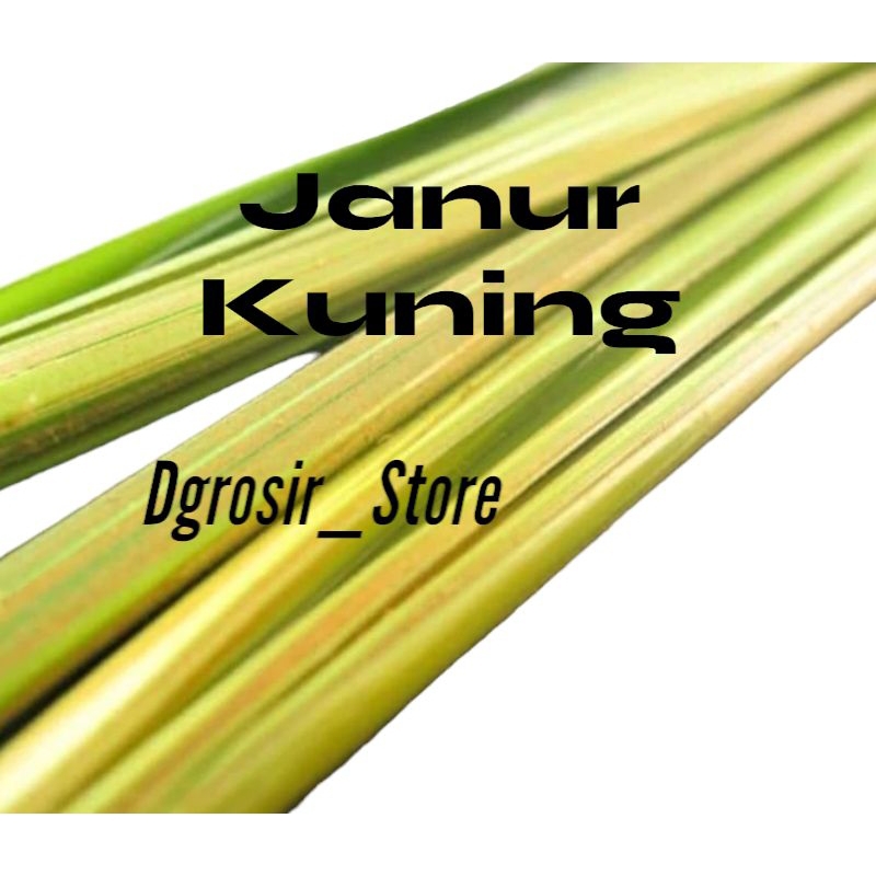 

Janur Kuning harga Per 30 pics