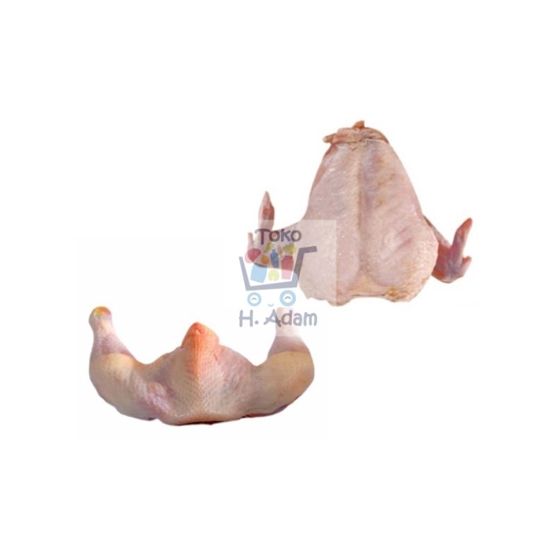 

Ayam.