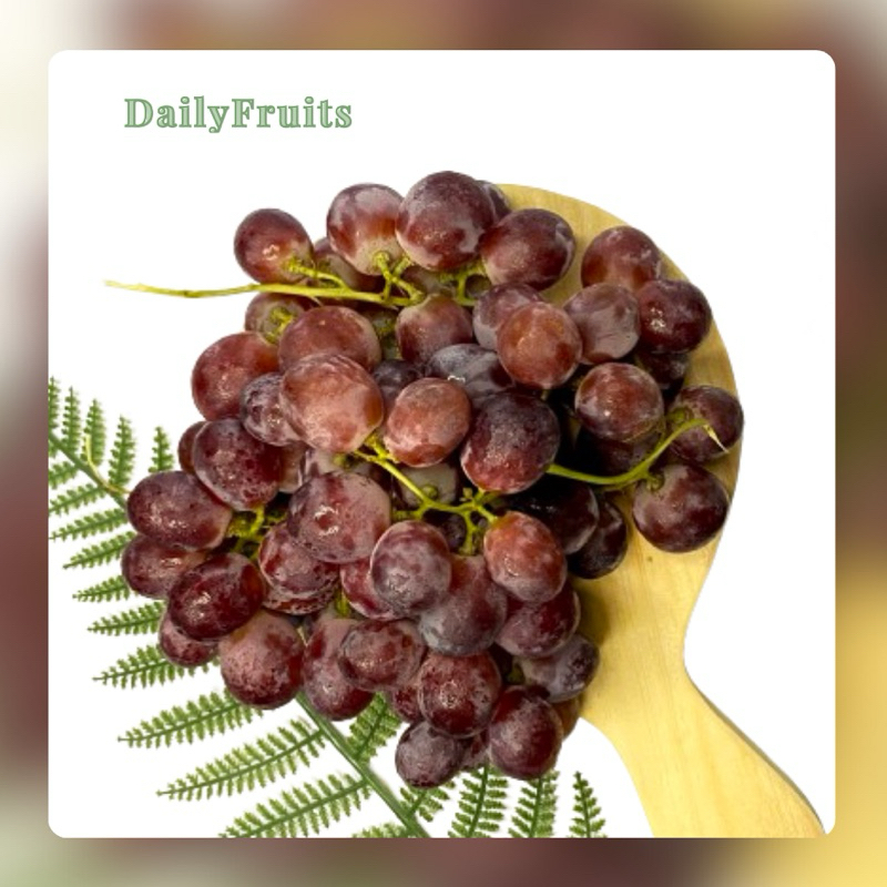 

AnggurMerah Red Globe Fresh Import Aussie | DailyFruits