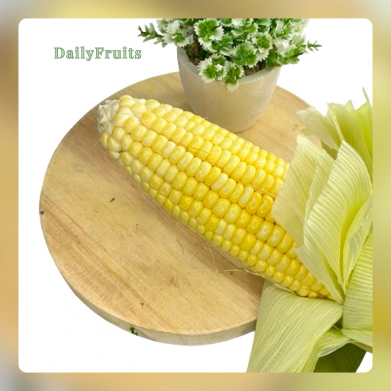 Jagung Super Fresh 1 pcs | DailyFruits