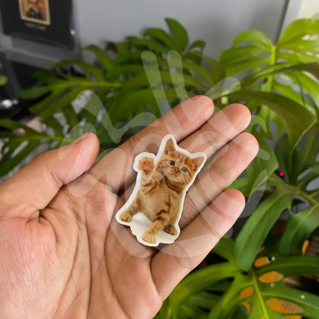 

stiker kucing / sticker aesthetic / sticker tumblr / stiker premium / stiker hp / stiker laptop / stiker helm / stiker tahan air