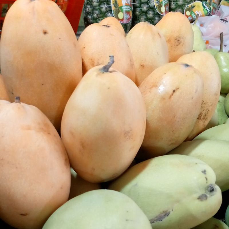 

Mangga Thailand 500g