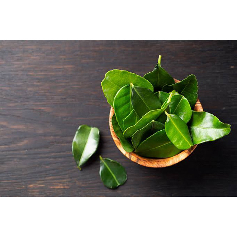 

Daun Jeruk