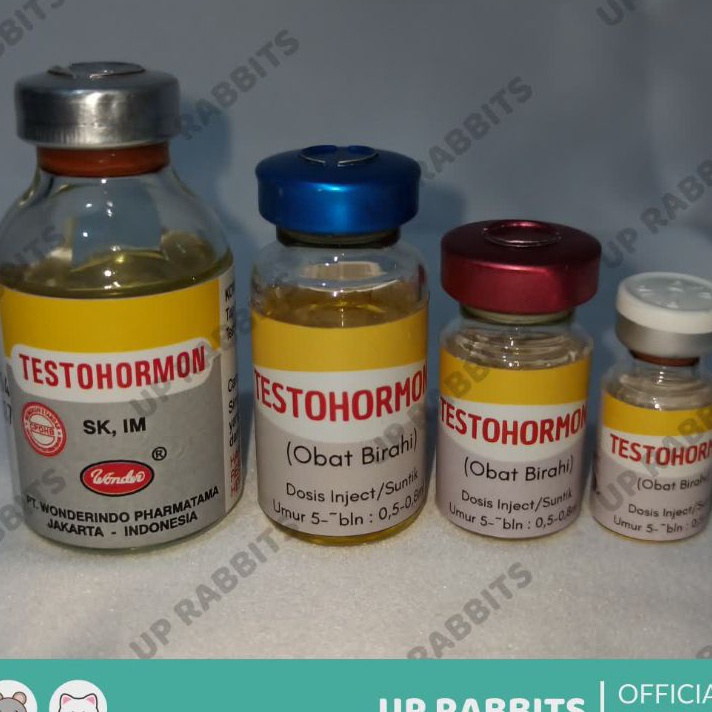 Diskon BesarBesaran TESTOHORMON inject hormon Tingkatkan Reproduksi Hewan Jantan