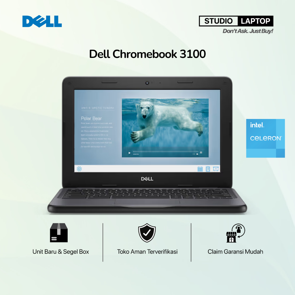 Laptop Dell Chromebook 3100 Celeron N4020 [ eMMC 32GB 4GB RAM - 11 inch HD ] RESMI