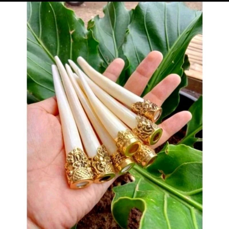 once pipa tulsap tulang sapi gading variasi ring alpakah