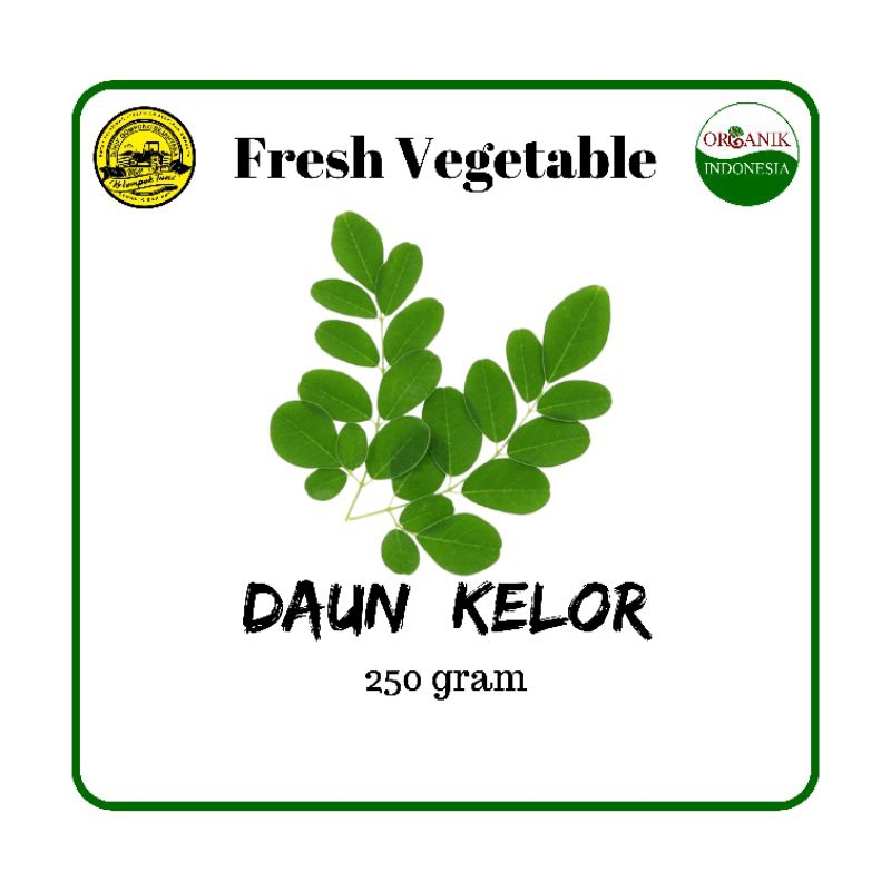 

Daun Kelor Organik Segar 250gram