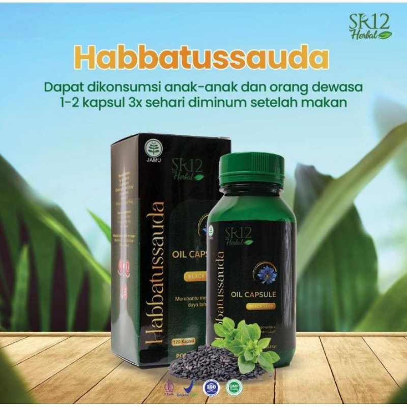 HABBATUSAUDAH SR12, habbatussaudah jinten eropa, habbatussaudah grade A