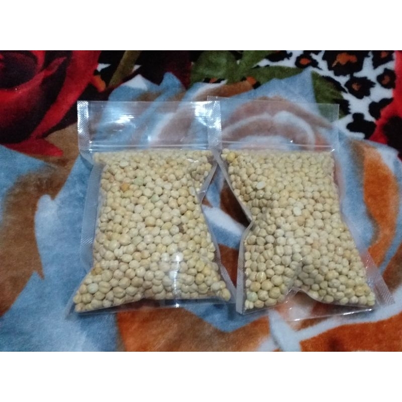 

Kacang Arab