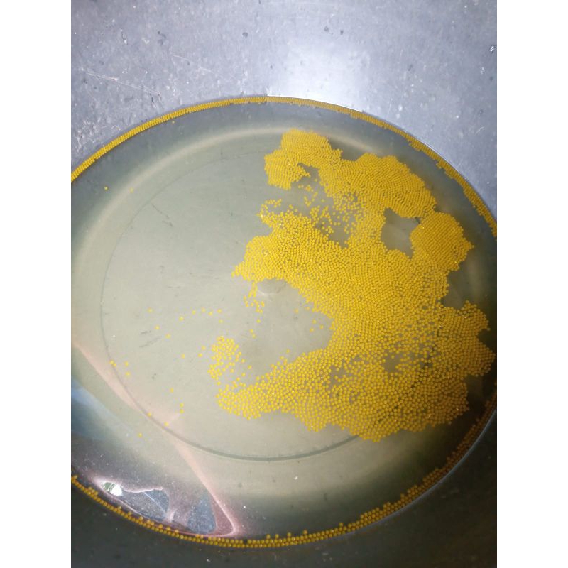 Paketan 500 Telor Gurame soang