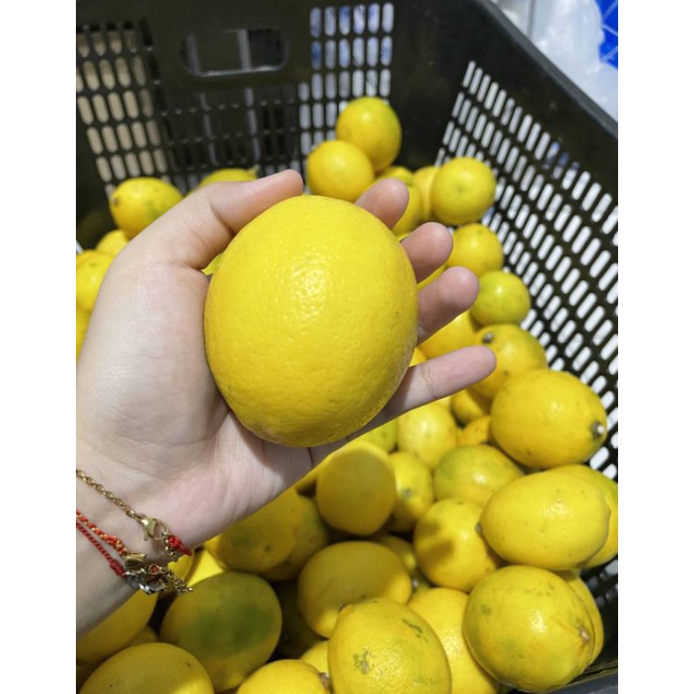 

WGJ165 KODE 77 1 Kg Lemon California Super