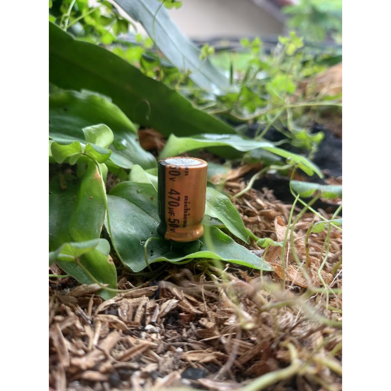 elco 470uf 50v gold FW (m) nichicon