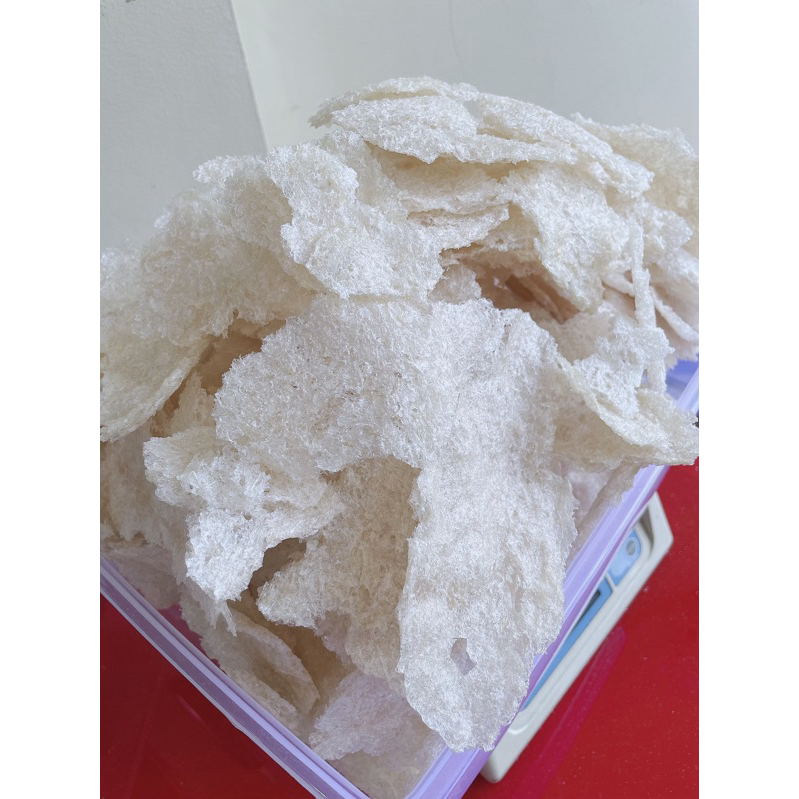 Sarang Burung Walet Hancuran