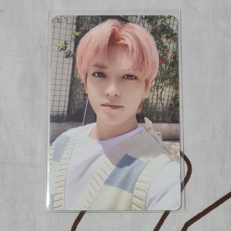 Photocard PC NCT 127 Bubu Taeyong Dicon Selca Pink Hair