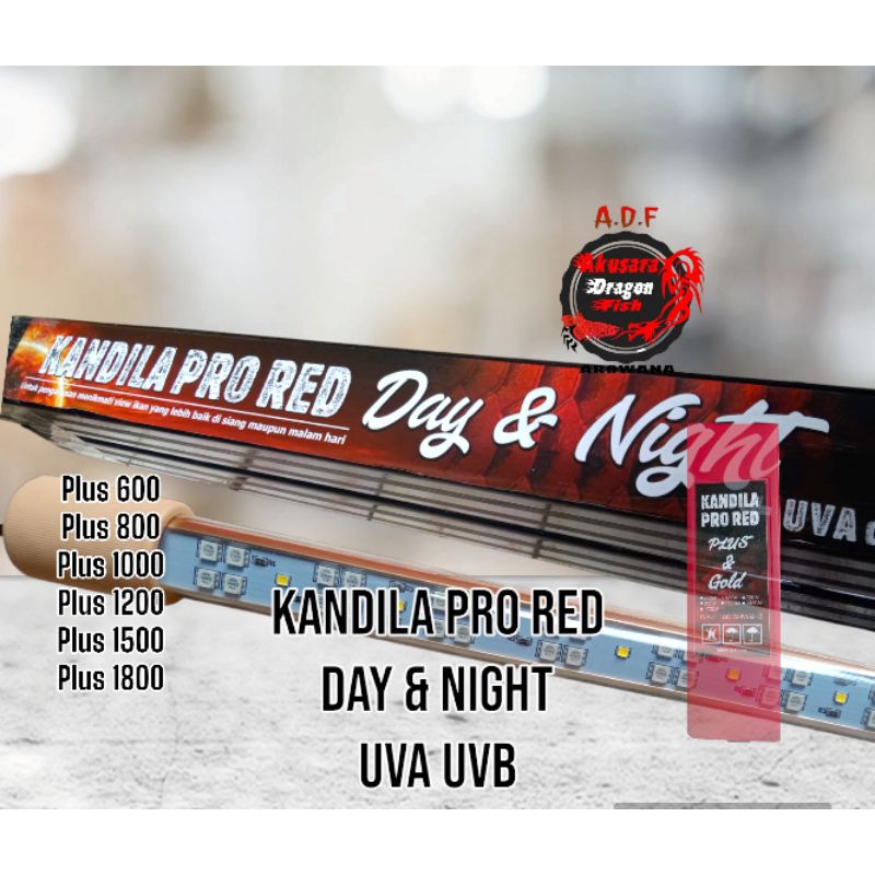 Lampu Kandila Pro Red Day Night UVA UVB / Lampu Aquarium Kandila