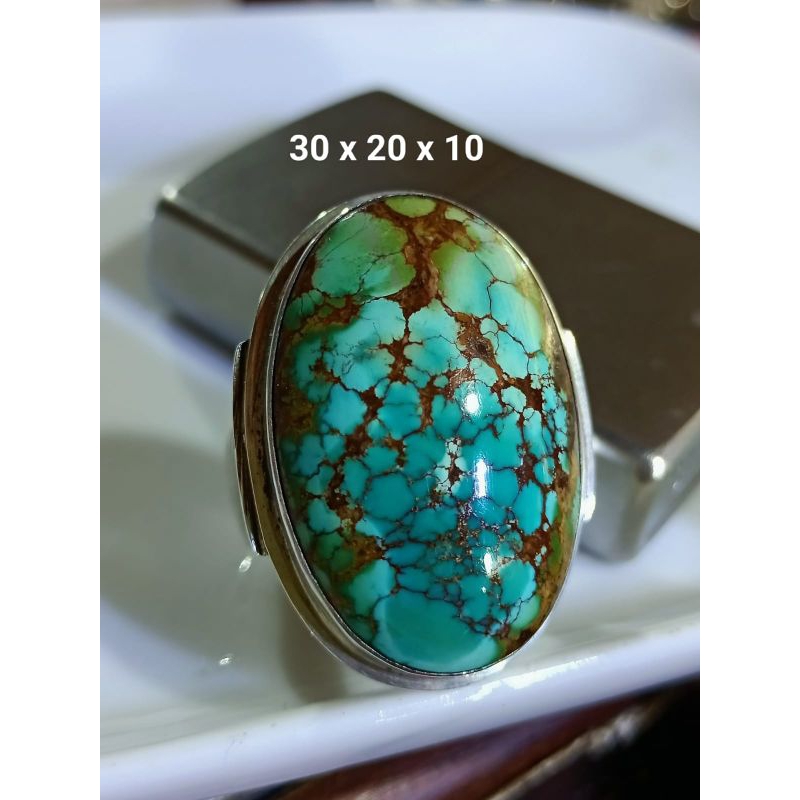 Pirus persia ceplok lawasan