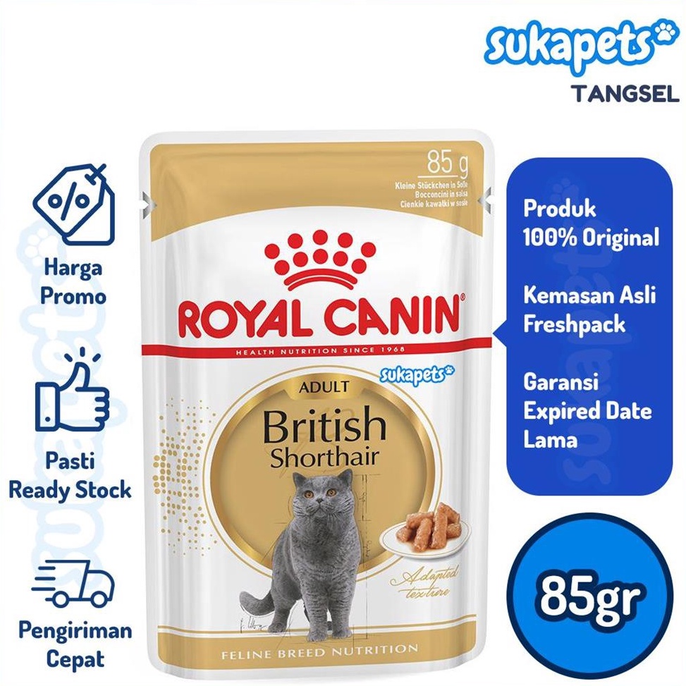 Stok Terbaru Royal Canin Adult British Shorthair Kucing Dewasa Wet 85gr