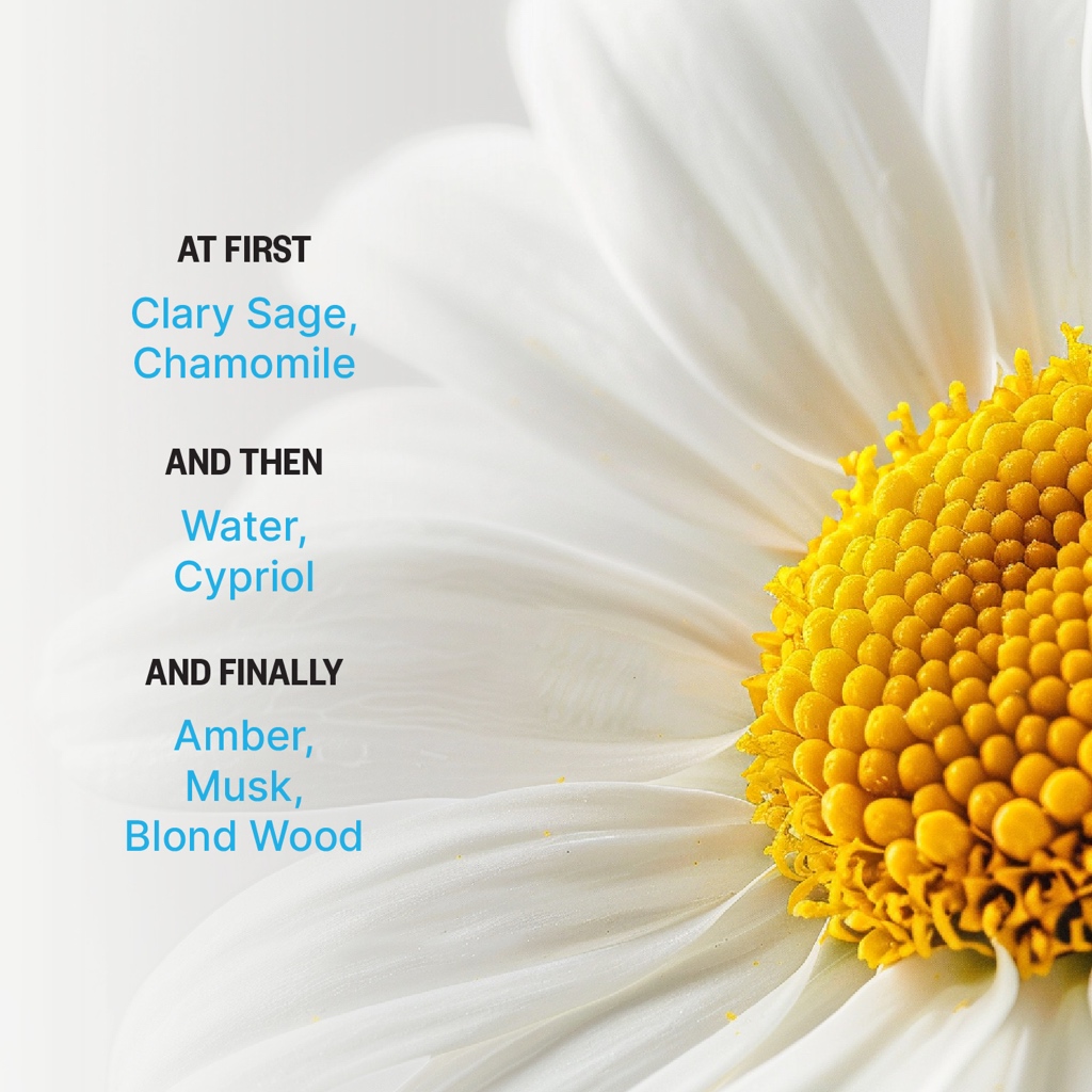 Forsol Perfumes - Charmomile Eau de Parfum