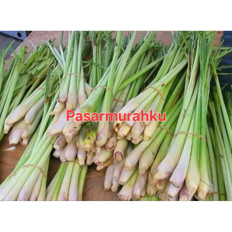 

1 KG Serai sereh segar kwalitas super sereh serai segar bumbu dapur dan minuman